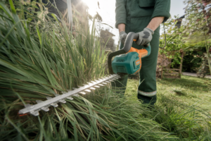 hedge trimmer